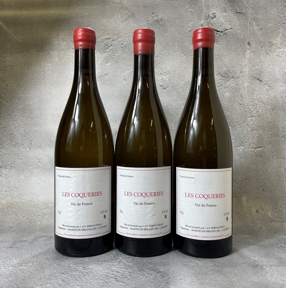 ステファン・ベルノドー | ニュース | ニュース＆ブログ | アガリクス